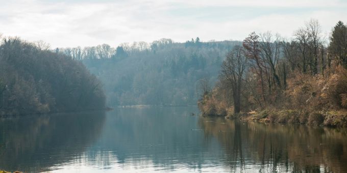 Das Rheinufer bei Rheinau. Das Rheinufer bei Rheinau.