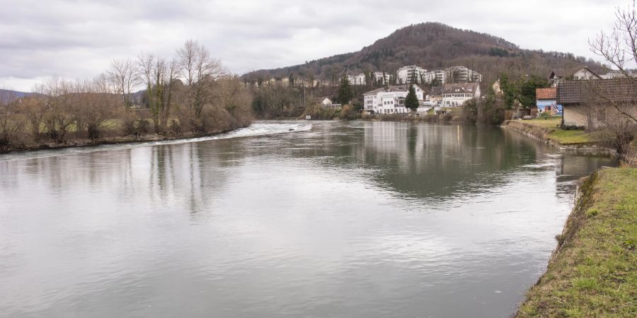 Das Streichwehr in der Limmat bei Untersiggental. Im Hintergrund das Gebenstorfer «Horn».