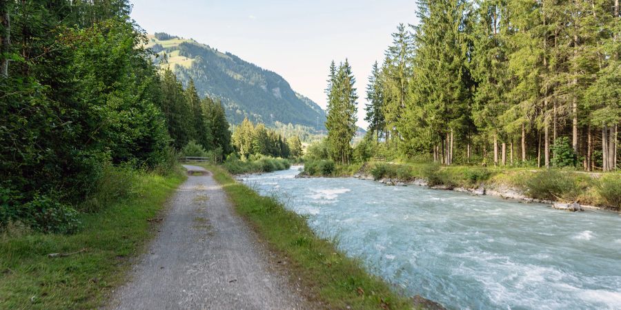 Die Kander zwischen Frutigen und Reichenbach.