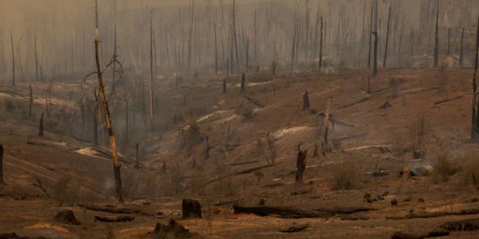 Der Klimawandel hat katastrophale Folgen Klimawandel