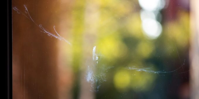 Können für Vögel zur tödlichen Falle werden: grosse Glasfenster. Glasscheibe Fenster Abdruck Vogel