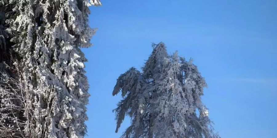 Spaziergänger gehen im Sonnenschein durch die verschneite Winterlandschaft im bayerischen Oy-Mittelberg Anfang des Monats. Foto: Karl-Josef Hildenbrand/dpa