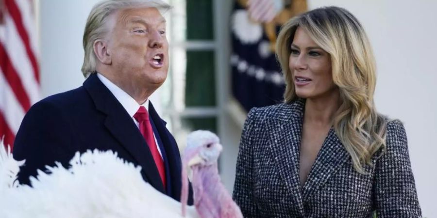 US-Präsident Donald Trump (l), First Lady Melania Trump und der Truthahn «Corn» nach seiner Begnadigung. Foto: Susan Walsh/AP/dpa