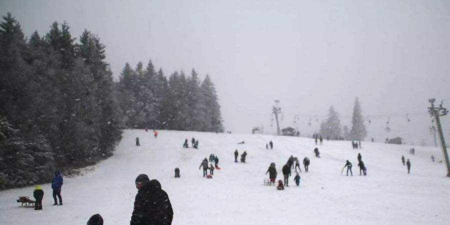 Schlittenfahrer sind auf dem Kahlen Asten im Sauerland unterwegs. Foto: Cevin Dettlaff/dpa