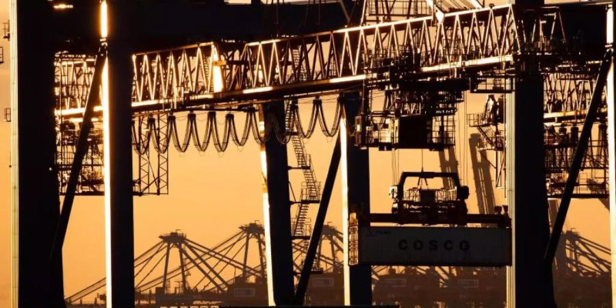 Containerterminal in Hamburg: Die Befragten sorgen sich um die wirtschaftlichen Auswirkungen der zweiten Corona-Welle, erklärt ZEW-Präsident Achim Wambach. Foto: Christian Charisius/dpa