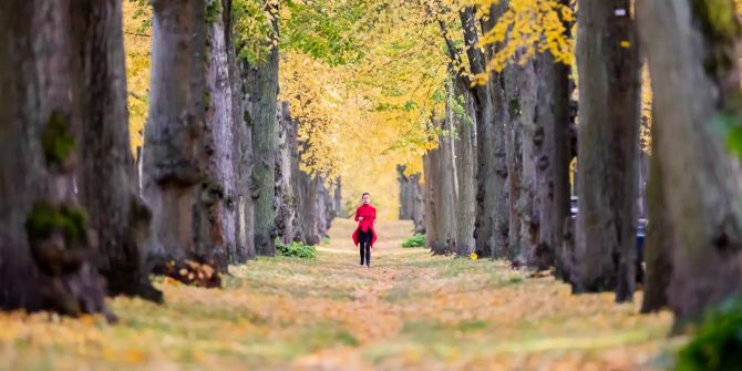 Herbst in Berlin