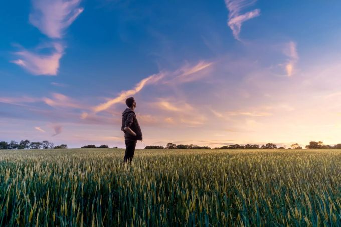 Es ist unser aller Geburtsrecht, das Leben unserer Wünsche zu erschaffen und zu leben. Mann im Feld