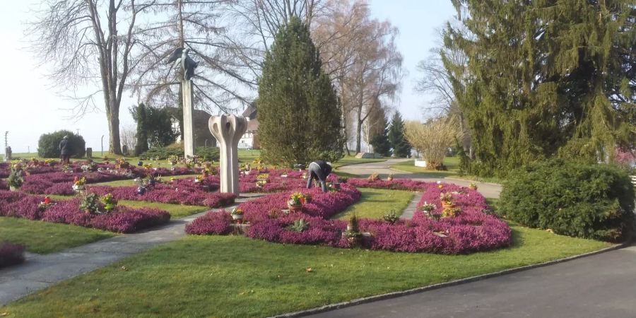 Friedhof Bergli Zofingen