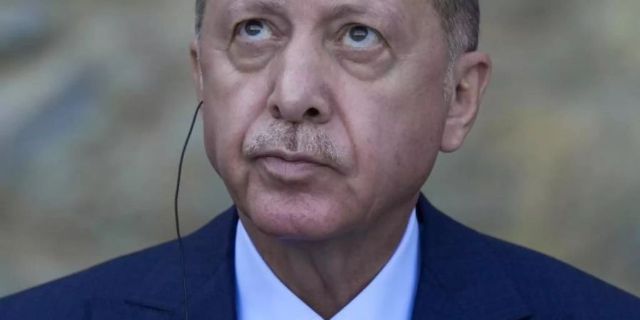 Die Demokratie unter dem türkischen Staatspräsidenten Recep Tayyip Erdogan wird von der EU scharf kritisiert. Foto: Francisco Seco/AP/dpa