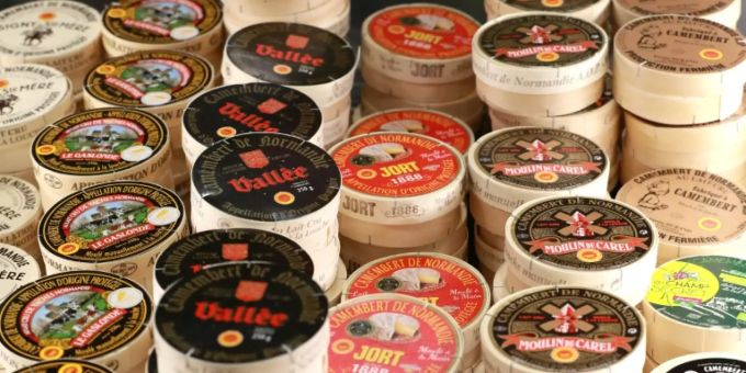 Käse Käse