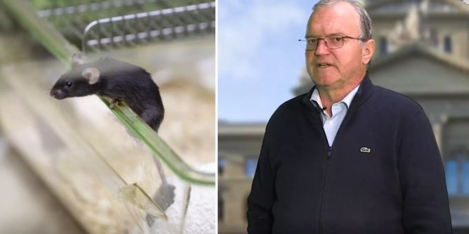 «Viel zu radikal» - Longchamp sieht keine Chance für Tierversuch-Verbot