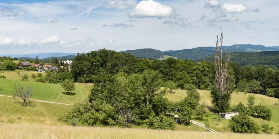 Der Blick auf den Ortsteil Nuglar, gesehen von der Verbindungsstrasse zwischen Nuglar und St. Pantaleon.