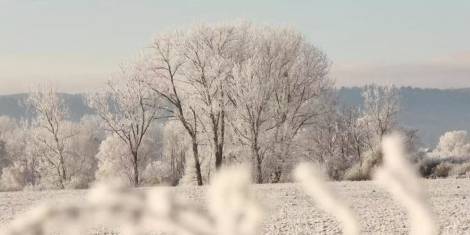 Der Harz - eine Winterlandschaft. Foto: Matthias Bein/dpa-Zentralbild/ZB Der Harz - eine Winterlandschaft. Foto: Matthias Bein/dpa-Zentralbild/ZB