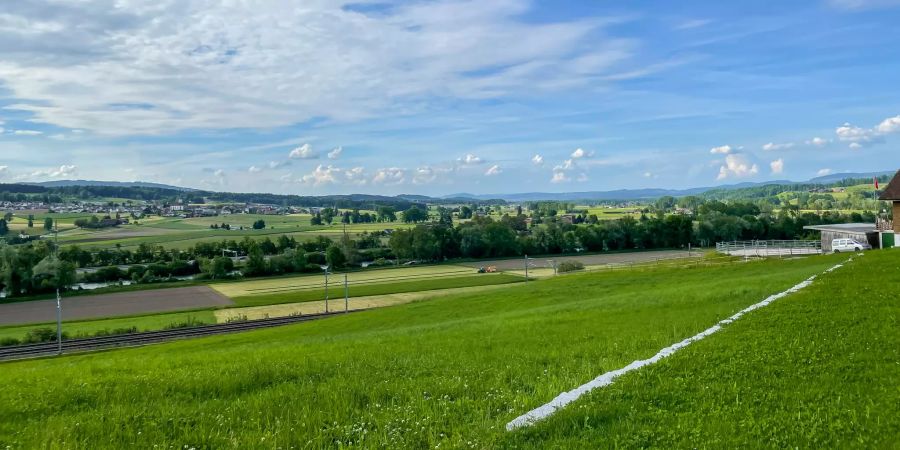 Der Ausblick aus Honau.