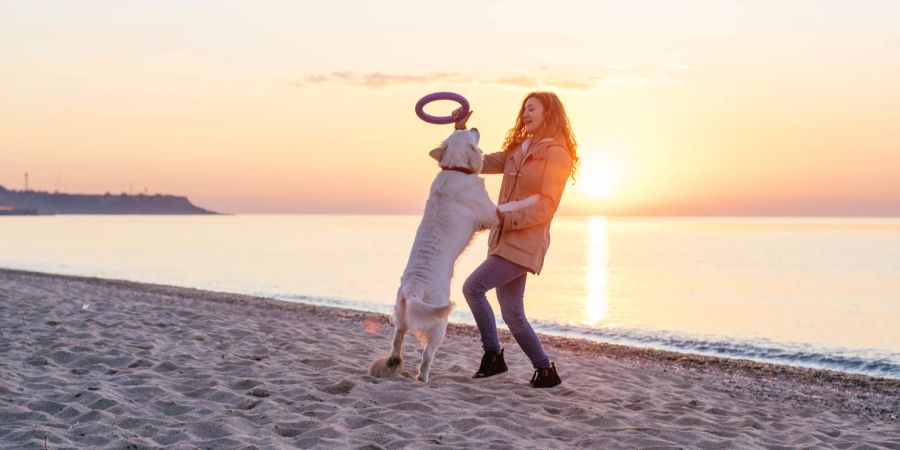 Hund mit Frau am Strand