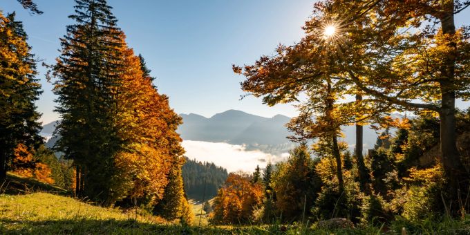 Oberstaufen beheimatet das grösste bewirtschaftete Alpgebiet Deutschlands. Oberstaufen im Herbst