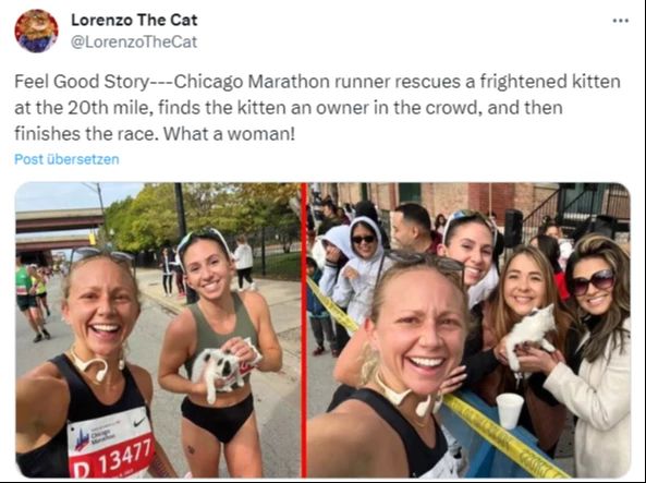 Good News: Marathon-Läuferin rettet Kätzchen – verzichtet auf Rekord
