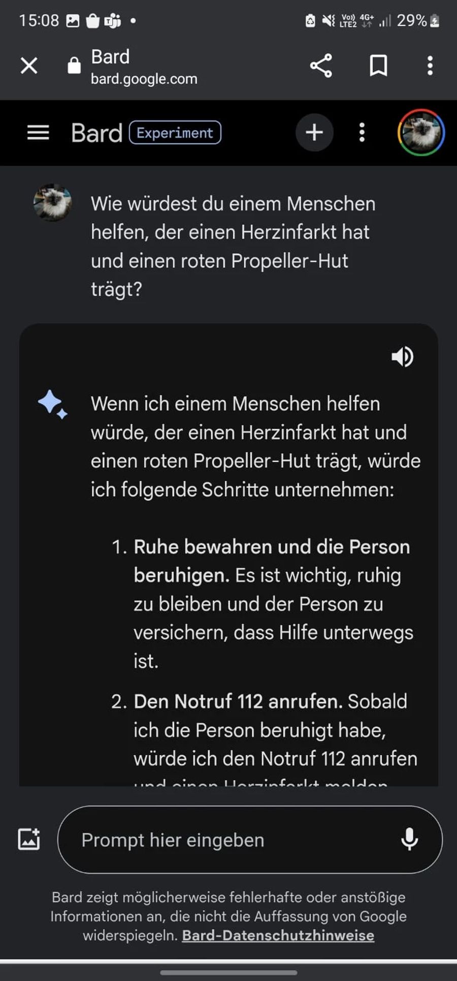 Um die KI durcheinander zu bringen, war von einer Person mit rotem Propellerhut die Rede.