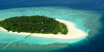 Kleine Insel mit Dschungel und Strand von oben im blauen Meer.