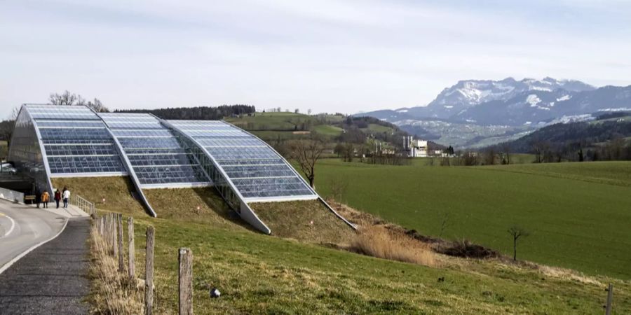 tropenhaus wolhusen