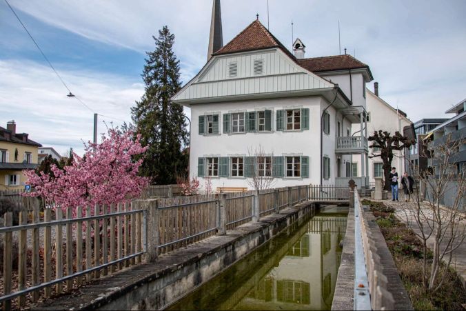 Im Museum Schneggli findet die Ausstellung vom 6. - 29. März 2020 statt.