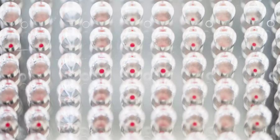 blutspende transplantationen