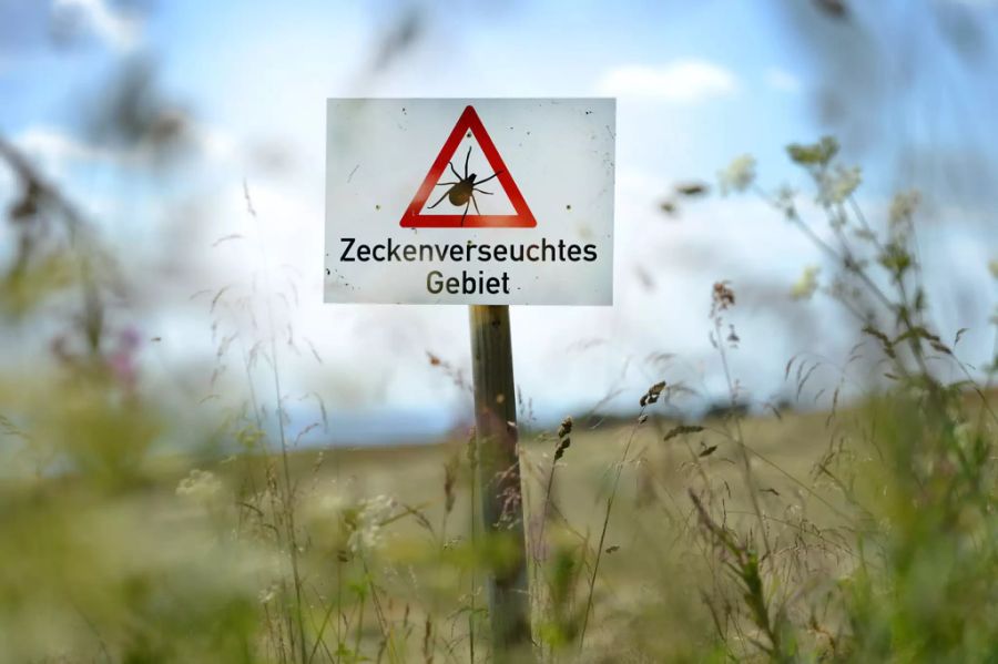 Ein Zecken-Warnschild