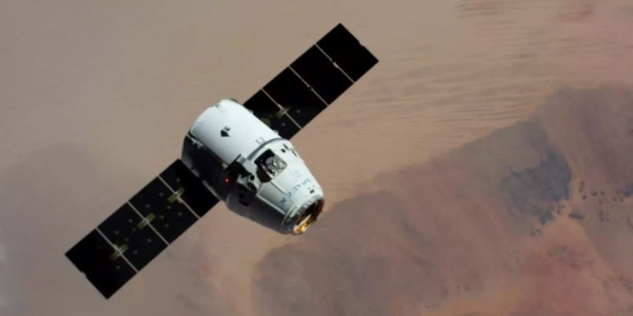 Drei Kekse wurden mit dem SpaceX Dragon zurück zur Erde geschickt