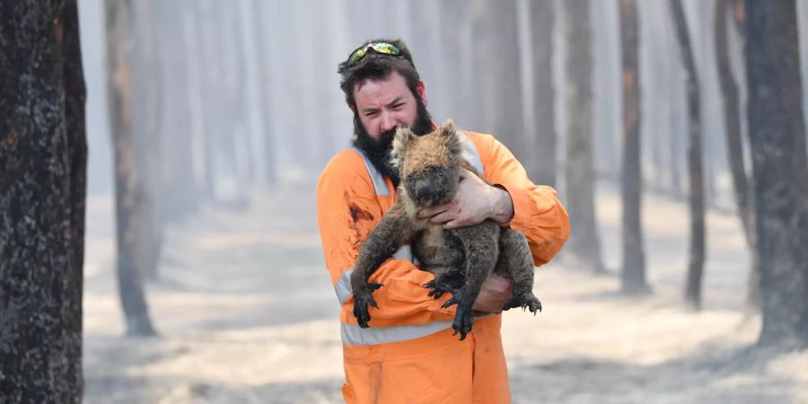 Buschbrände in Australien