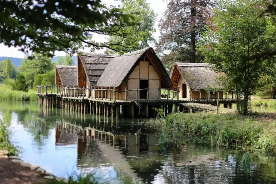 schönenwerd Bally Park