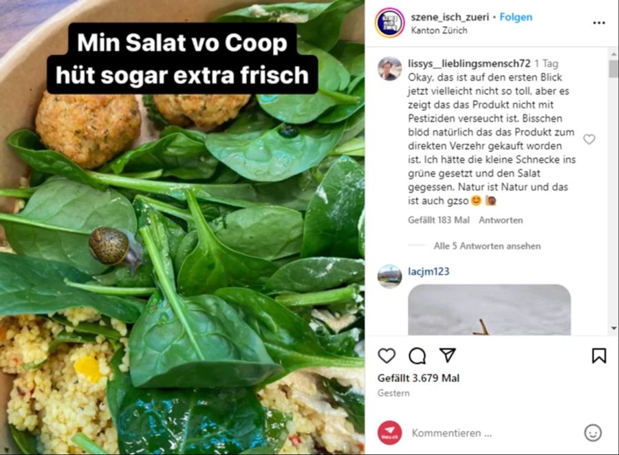 Da schaut man nicht schlecht: Eine Schnecke ist in einem Salat von Coop unterwegs.