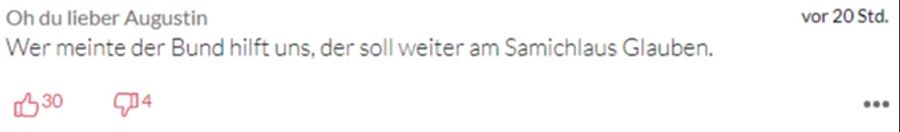 Ein User glaubt nicht daran, dass der Benzinpreis tatsächlich gesenkt wird.