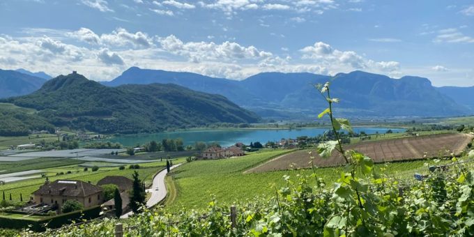 Blick auf den Kalterer See von Weingut Elena Walch. Kalterer See Weingut Elena Walch