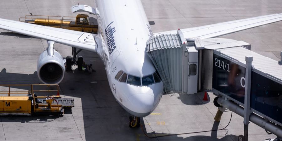 Lufthansa Stern