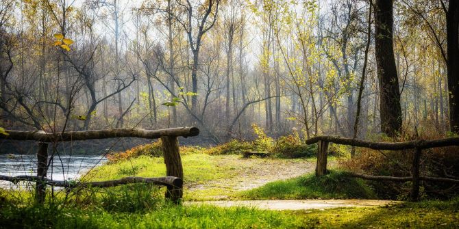 Wald Fluss Sonne Wanderweg