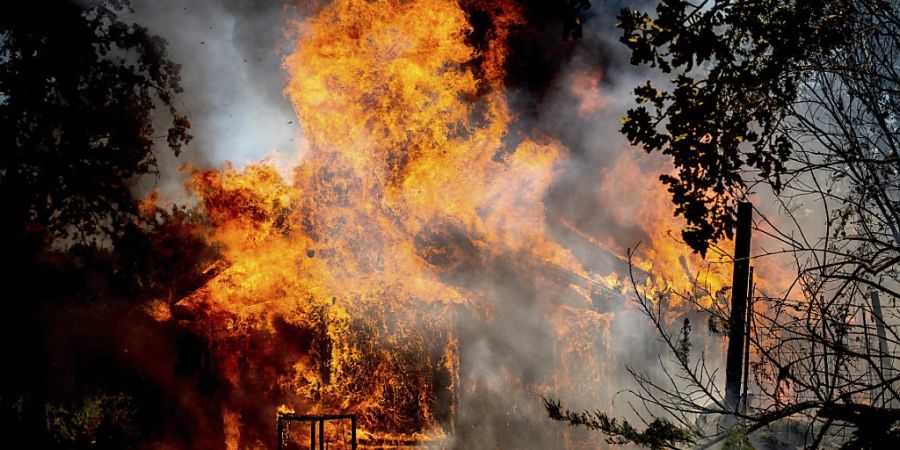 Die Flammen des Oak Fire verzehren ein Haus in der Triangle Road in Mariposa County. Foto: Noah Berger/AP/dpa