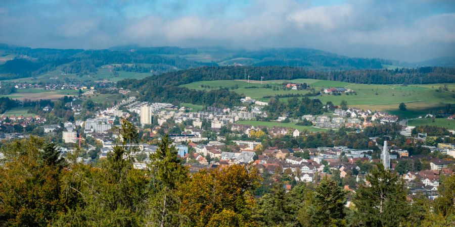 Blick auf Wülflingen im Stadtkreis 6 in Winterthur.