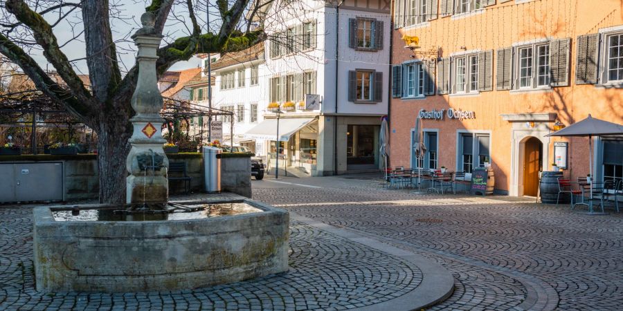 Ein Brunnen an der Dorfstrasse im Zentrum von Küsnacht (ZH).