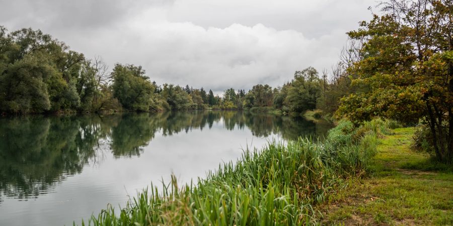Das Reussufer in Rottenschwil.