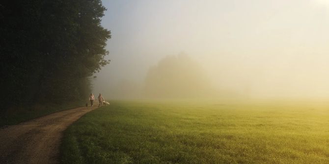 Feld Nebel Waldrand Spaziergänger Hund