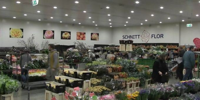 Stress um 5 Uhr - Wegen Valentinstag stürmen Floristen Blumenbörse