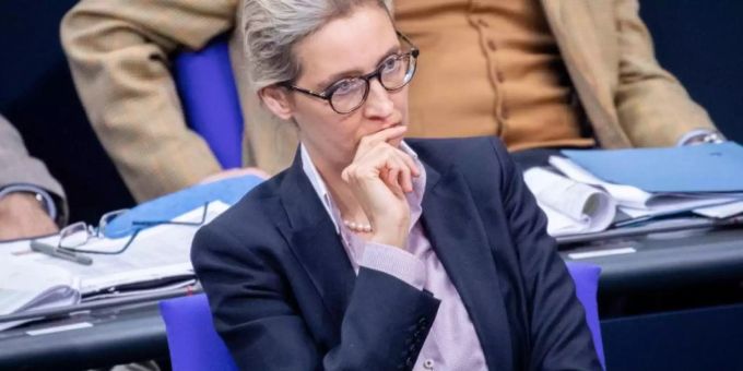 AfD-Fraktionschefin Alice Weidel alice weidel