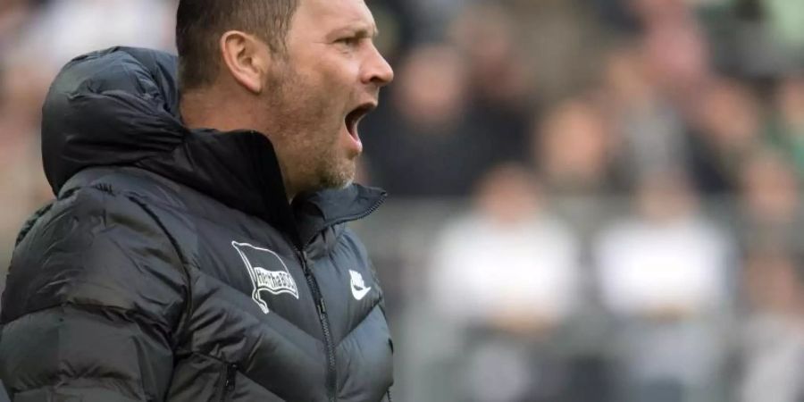 Hertha-Trainer Pal Dardai will die Bayern im heimischen Stadion ärgern. Foto: Federico Gambarini