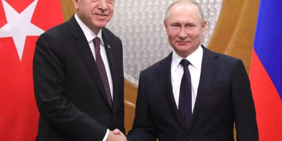 Bei ihrem Treffen in Moskau beraten Putin und Erdogan auch über die Lage im Syrienkrieg. Foto: Kreml