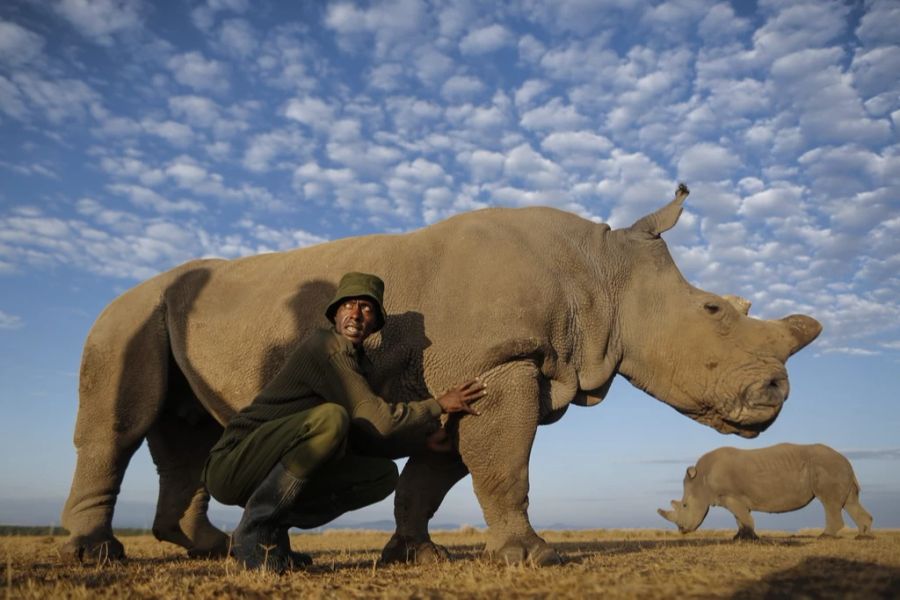 Afrika