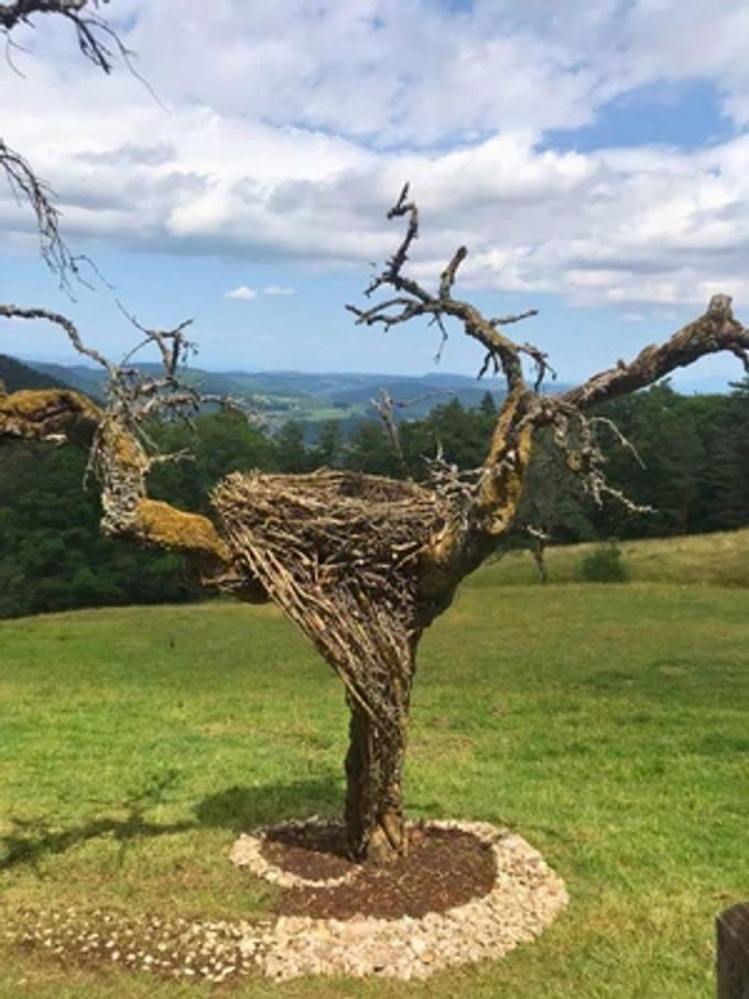 Stephan Mathis hat die Ausstellung «Landart Wasserfallen» kuratiert. wasserfallen