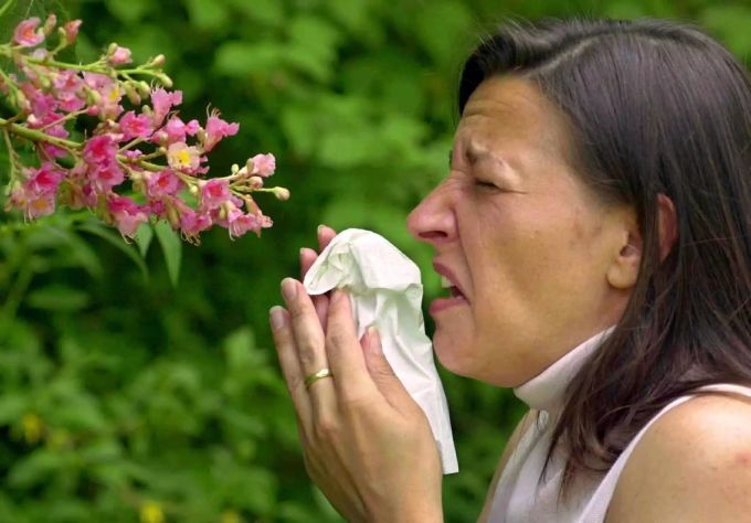 Die Pollenbelastung ist dieses Jahr wegen des schönen Wetters besonders hoch. Pollen