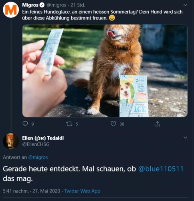 Eine Twitter-Userin will gleich schauen, ob ihr Hund die Hundeglacé von Migros mag. Migros Hundeglacé