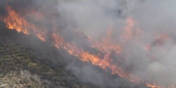 waldbrand