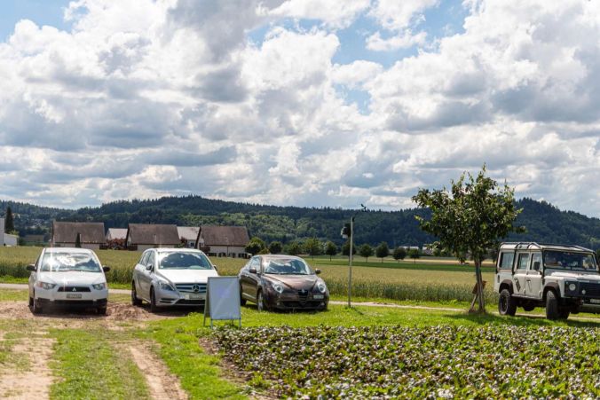 Das Erdbeer-Feld bietet viele Parkmöglichkeiten.